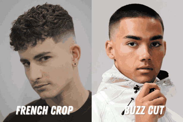 French Crop vs Buzz Cut