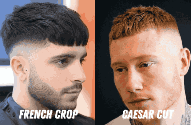 French Crop Vs Caesar Cut