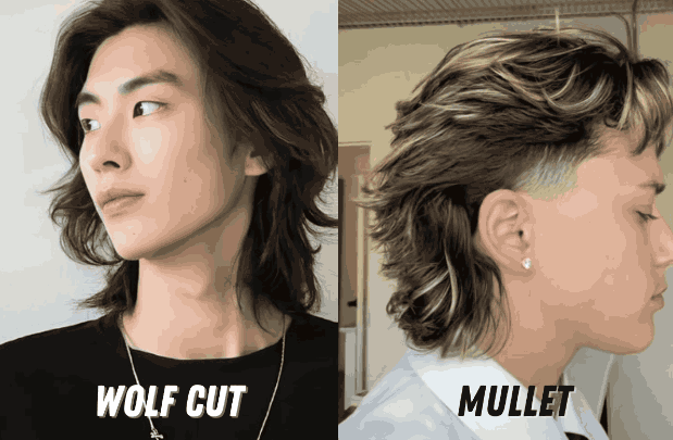 Perbedaan Wolf Cut dan Mullet